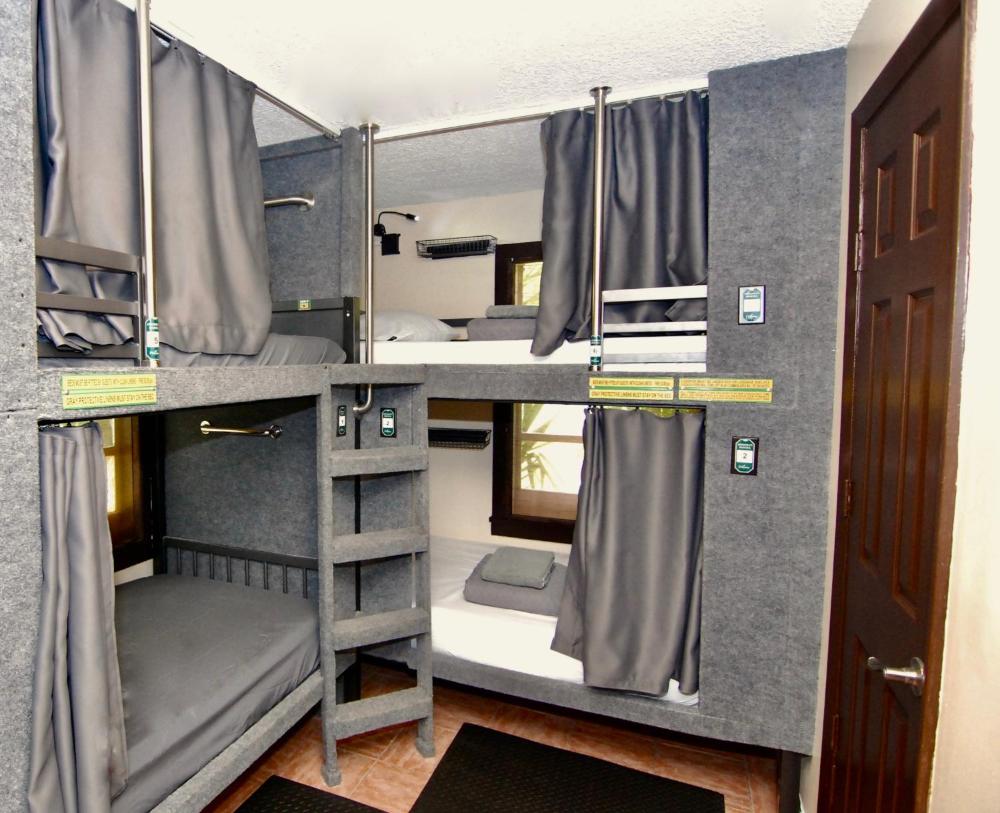 Bed in 8-Bed Mixed Dormitory Room interior